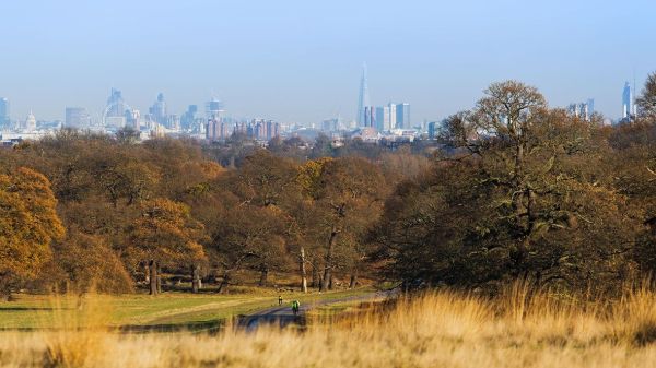 Richmond Park